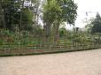  roseraie du parc du Thabor